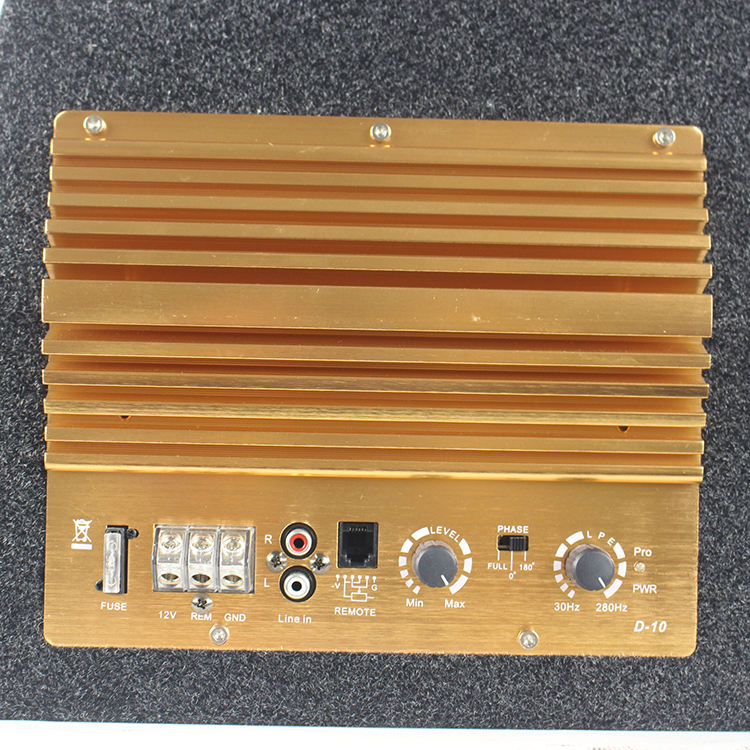 10 inch Wooden box active subwoofer ZD-10C - Image 5